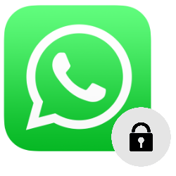 Privacy Whatsapp